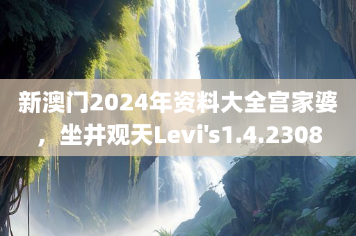 新澳门2024年资料大全宫家婆，坐井观天Levi's1.4.2308