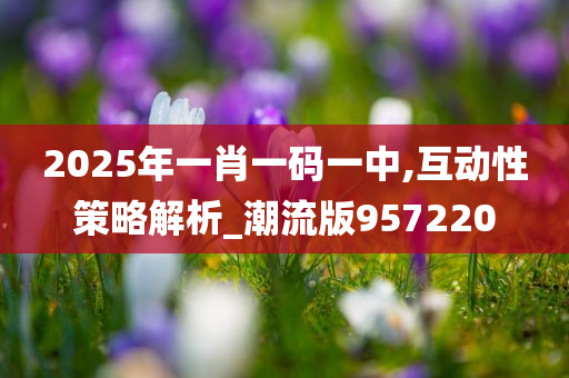 2025年一肖一码一中,互动性策略解析_潮流版957220