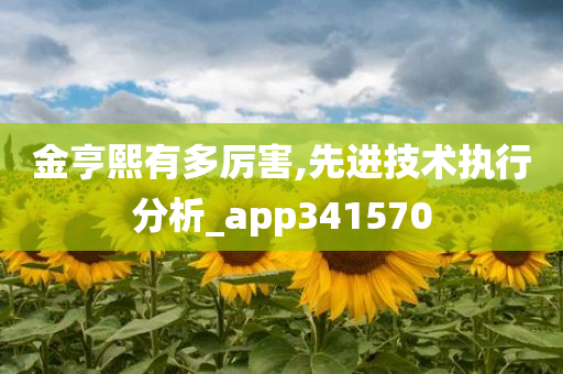 金亨熙有多厉害,先进技术执行分析_app341570