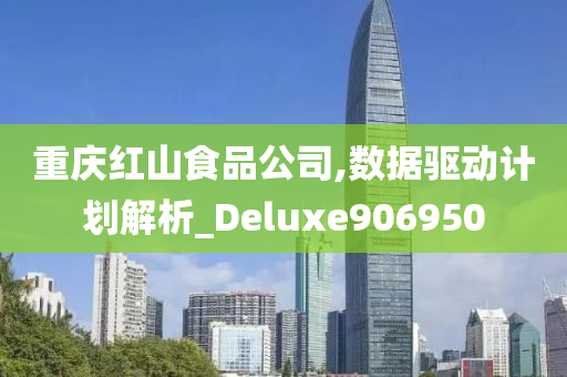 重庆红山食品公司,数据驱动计划解析_Deluxe906950