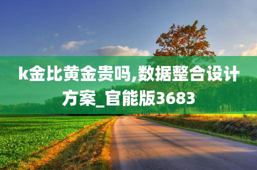 k金比黄金贵吗,数据整合设计方案_官能版3683