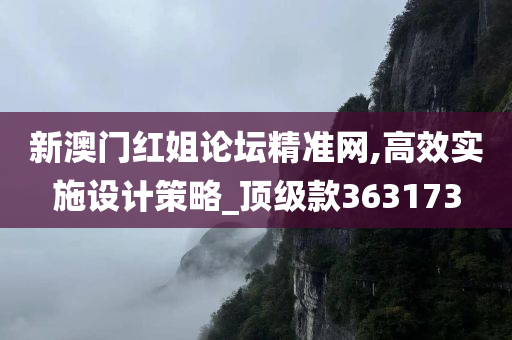 新澳门红姐论坛精准网,高效实施设计策略_顶级款363173