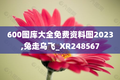 600图库大全免费资料图2023,兔走乌飞_XR248567