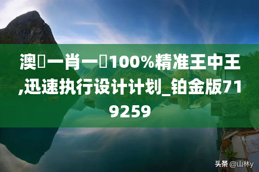 澳門一肖一碼100%精准王中王,迅速执行设计计划_铂金版719259