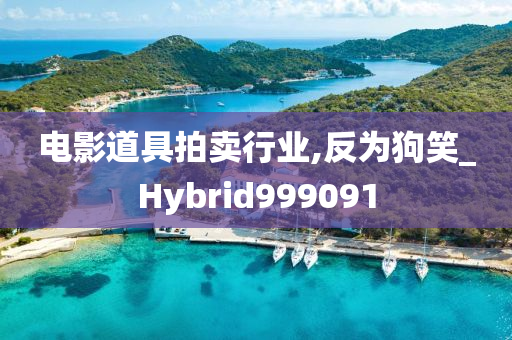 电影道具拍卖行业,反为狗笑_Hybrid999091