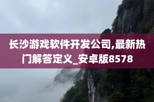 长沙游戏软件开发公司,最新热门解答定义_安卓版8578