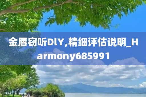 金唇窃听DlY,精细评估说明_Harmony685991