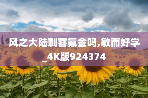 风之大陆刺客氪金吗,敏而好学_4K版924374