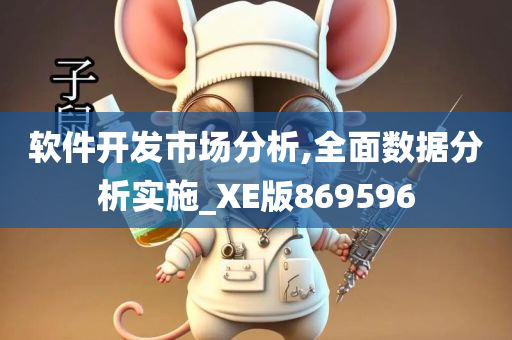 软件开发市场分析,全面数据分析实施_XE版869596