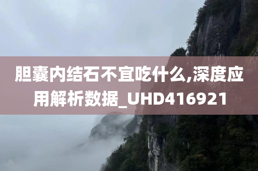 胆囊内结石不宜吃什么,深度应用解析数据_UHD416921