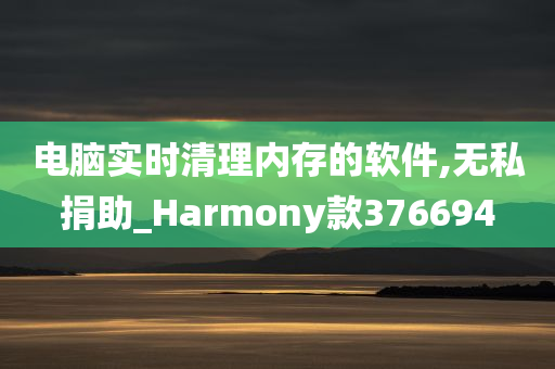 电脑实时清理内存的软件,无私捐助_Harmony款376694