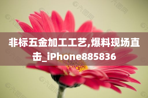 非标五金加工工艺,爆料现场直击_iPhone885836