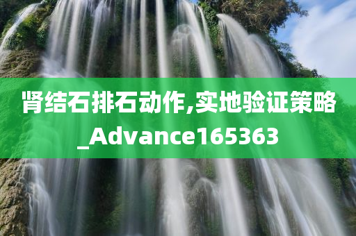 肾结石排石动作,实地验证策略_Advance165363