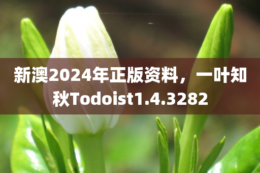 新澳2024年正版资料，一叶知秋Todoist1.4.3282