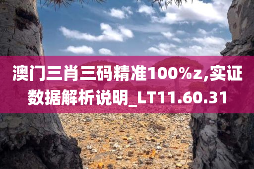 澳门三肖三码精准100%z,实证数据解析说明_LT11.60.31