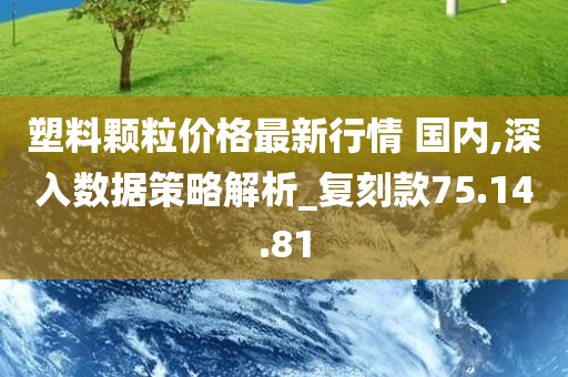 塑料颗粒价格最新行情 国内,深入数据策略解析_复刻款75.14.81