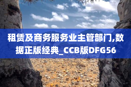 租赁及商务服务业主管部门,数据正版经典_CCB版DFG56