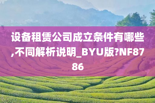 设备租赁公司成立条件有哪些,不同解析说明_BYU版?NF8786