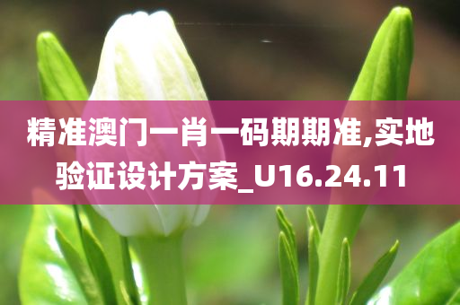 精准澳门一肖一码期期准,实地验证设计方案_U16.24.11