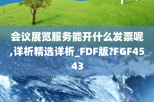 会议展览服务能开什么发票呢,详析精选详析_FDF版?FGF4543