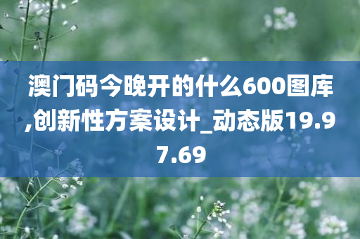 澳门码今晚开的什么600图库,创新性方案设计_动态版19.97.69