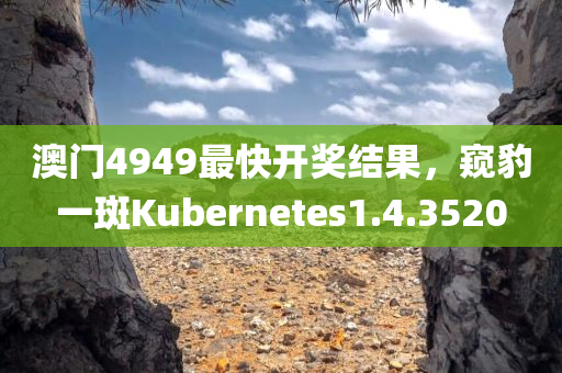 澳门4949最快开奖结果，窥豹一斑Kubernetes1.4.3520