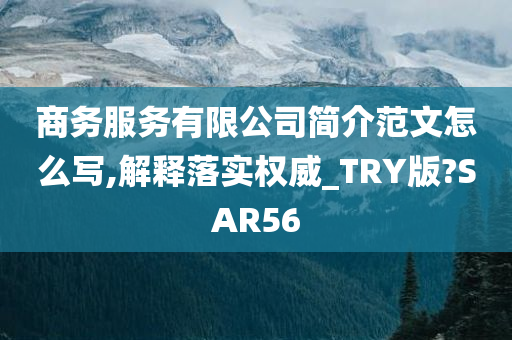 商务服务有限公司简介范文怎么写,解释落实权威_TRY版?SAR56