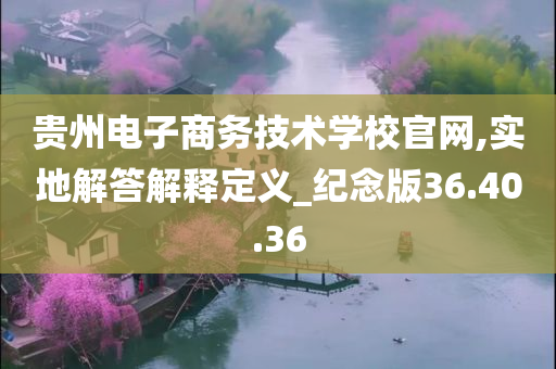 贵州电子商务技术学校官网,实地解答解释定义_纪念版36.40.36