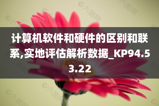 计算机软件和硬件的区别和联系,实地评估解析数据_KP94.53.22