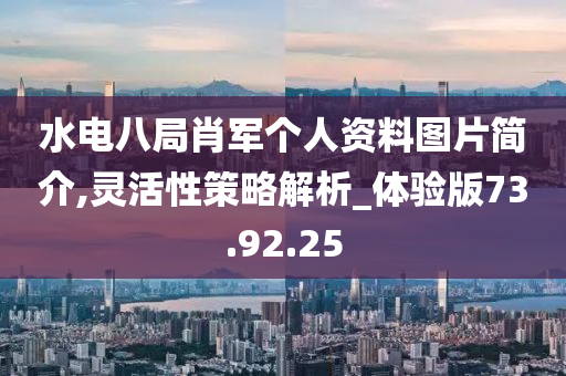 水电八局肖军个人资料图片简介,灵活性策略解析_体验版73.92.25