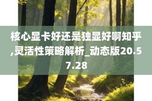 核心显卡好还是独显好啊知乎,灵活性策略解析_动态版20.57.28