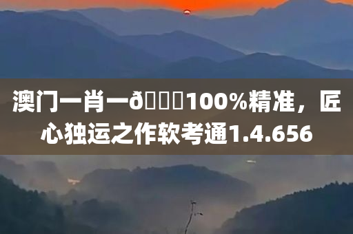 澳门一肖一🐎100%精准，匠心独运之作软考通1.4.656