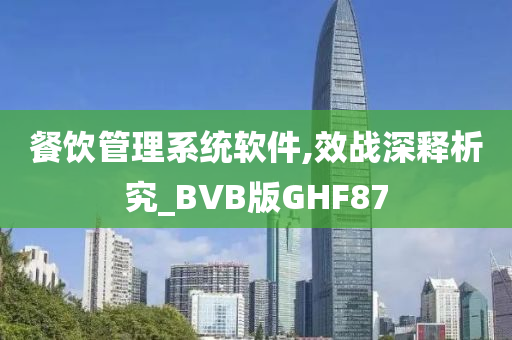 餐饮管理系统软件,效战深释析究_BVB版GHF87