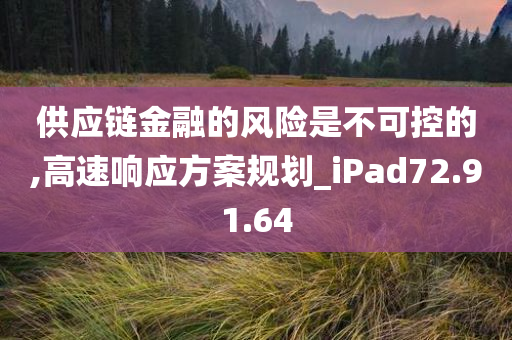 供应链金融的风险是不可控的,高速响应方案规划_iPad72.91.64