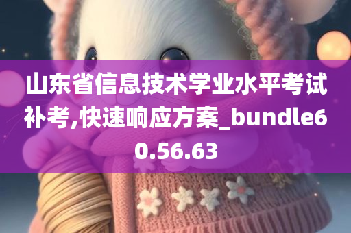 山东省信息技术学业水平考试补考,快速响应方案_bundle60.56.63