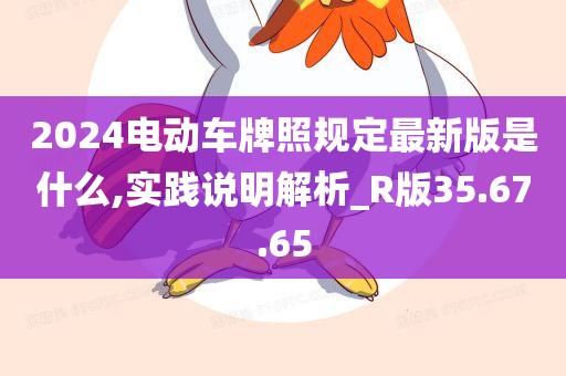 2024电动车牌照规定最新版是什么,实践说明解析_R版35.67.65