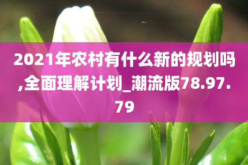 2021年农村有什么新的规划吗,全面理解计划_潮流版78.97.79