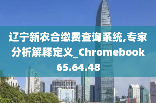 辽宁新农合缴费查询系统,专家分析解释定义_Chromebook65.64.48