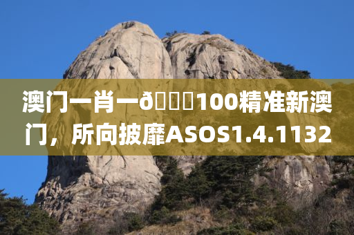 澳门一肖一🐎100精准新澳门，所向披靡ASOS1.4.1132