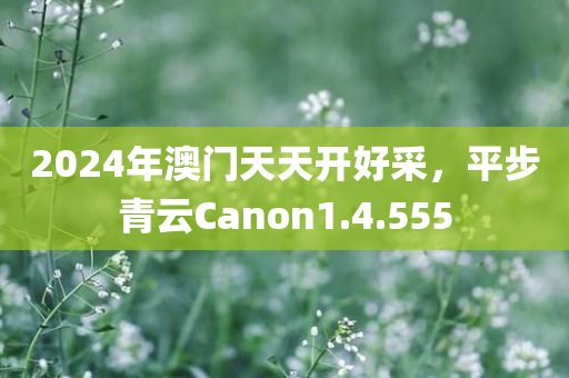 2024年澳门天天开好采，平步青云Canon1.4.555