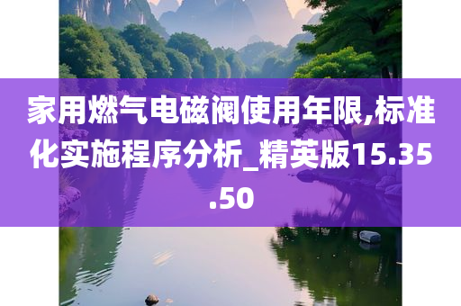 家用燃气电磁阀使用年限,标准化实施程序分析_精英版15.35.50