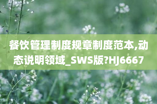 餐饮管理制度规章制度范本,动态说明领域_SWS版?HJ6667