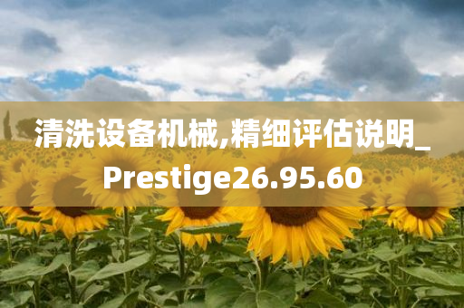 清洗设备机械,精细评估说明_Prestige26.95.60