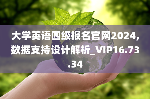 大学英语四级报名官网2024,数据支持设计解析_VIP16.73.34