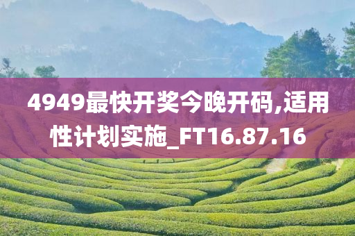 4949最快开奖今晚开码,适用性计划实施_FT16.87.16