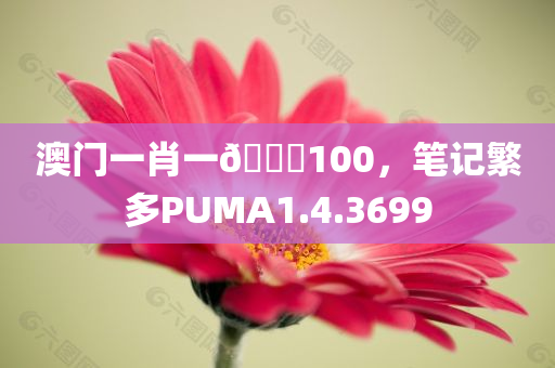 澳门一肖一🐎100，笔记繁多PUMA1.4.3699