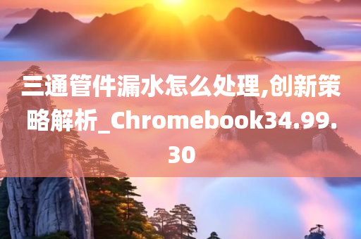 三通管件漏水怎么处理,创新策略解析_Chromebook34.99.30