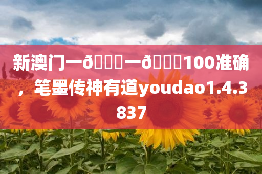 新澳门一🐎一🐎100准确，笔墨传神有道youdao1.4.3837