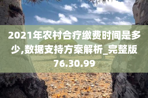 2021年农村合疗缴费时间是多少,数据支持方案解析_完整版76.30.99