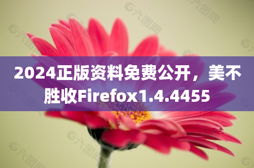 2024正版资料免费公开，美不胜收Firefox1.4.4455